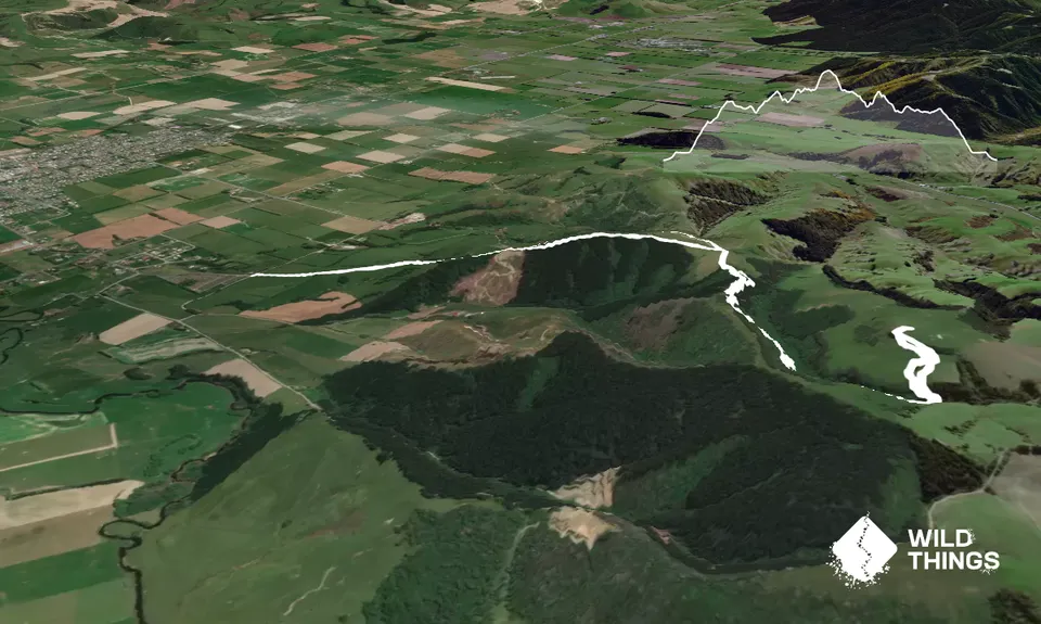McNally Meander, Otago