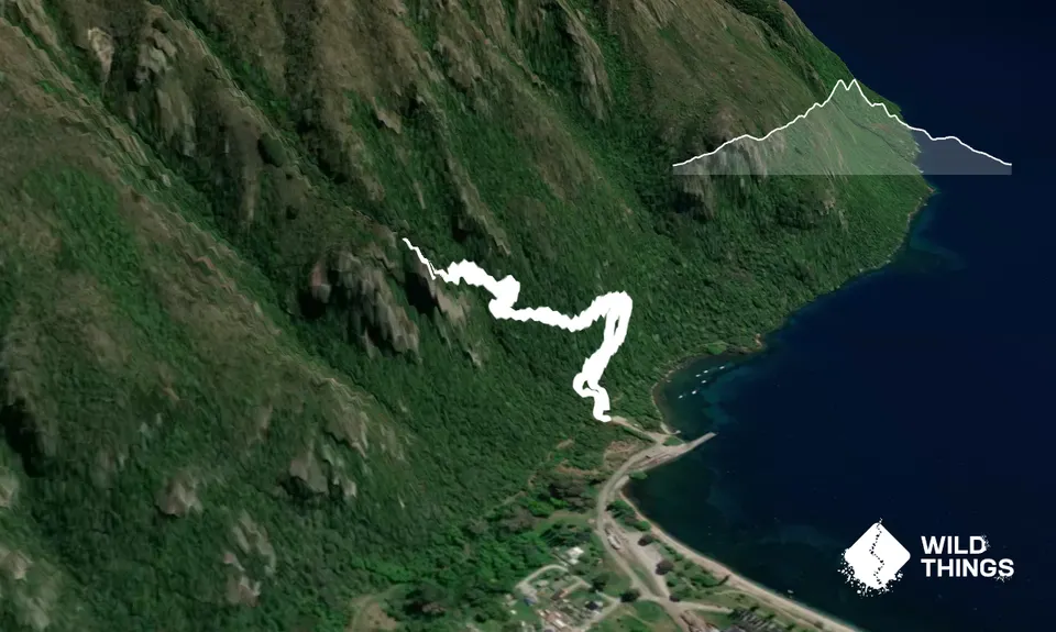 Shirt Tail Grunt, Otago