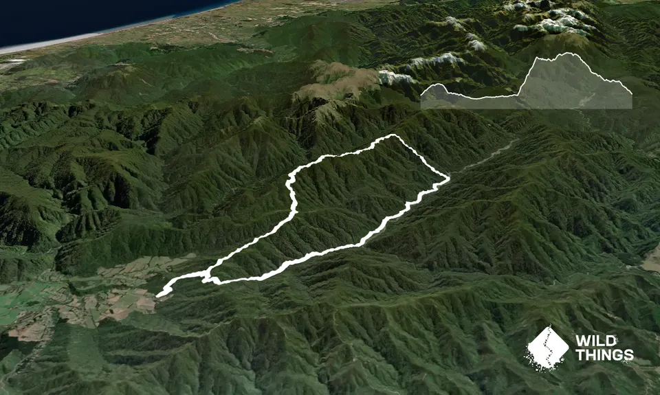 Block XVI Loop, Wellington