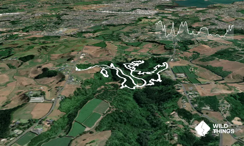 Oropi Grove MTB Gliding, Bay of Plenty