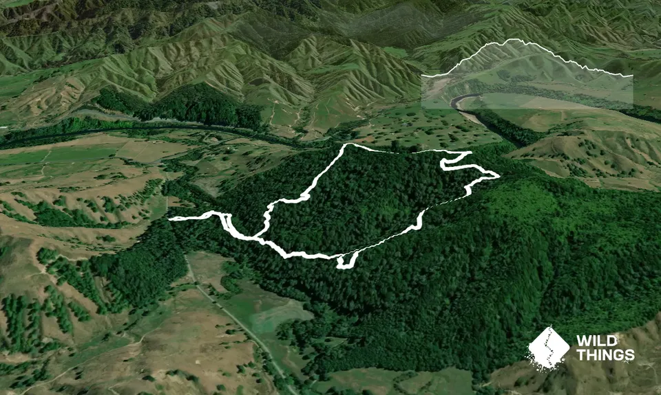 Te Maire Track, Manawatu - Wanganui