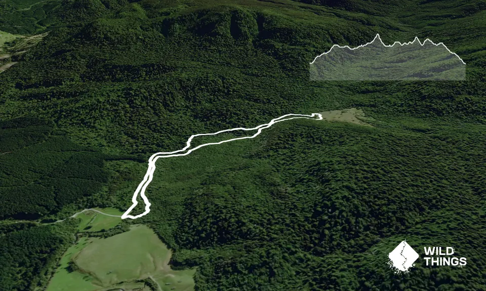 Dunsdale Domain Loop, Southland
