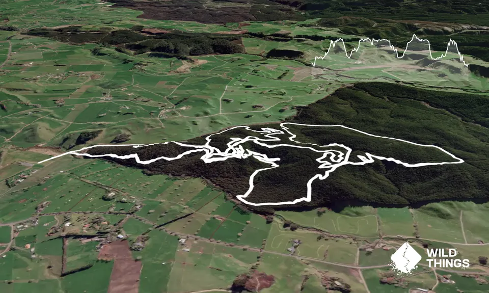 Tour of Cougar park, Waikato