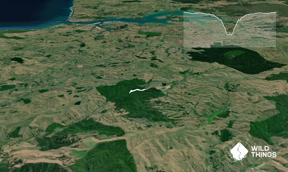 Lifting the Veil, Waikato