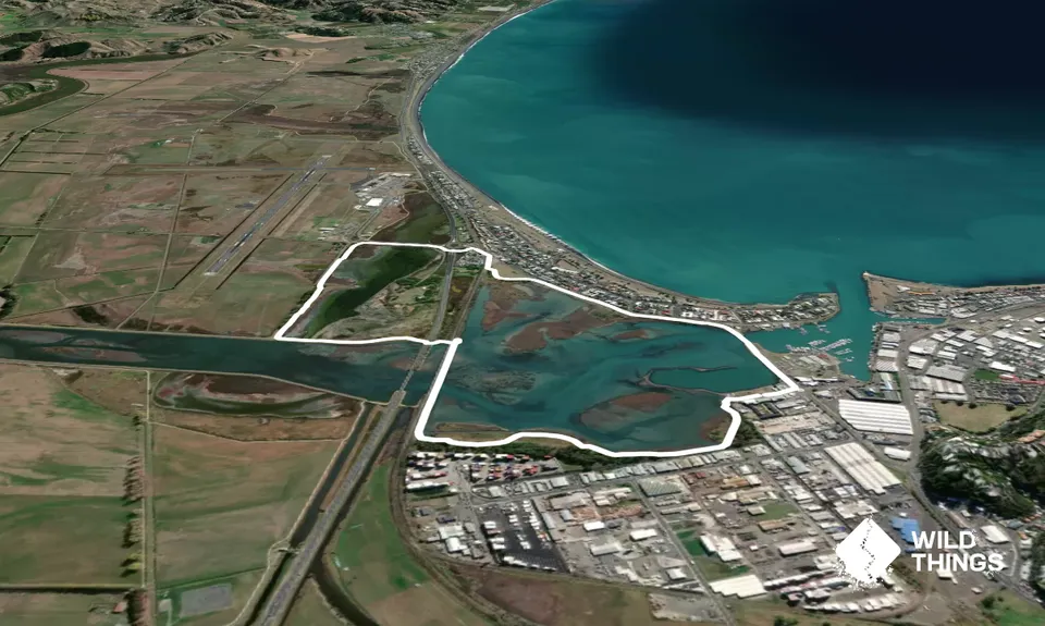 Westshore Conservation Loop, Hawkes Bay