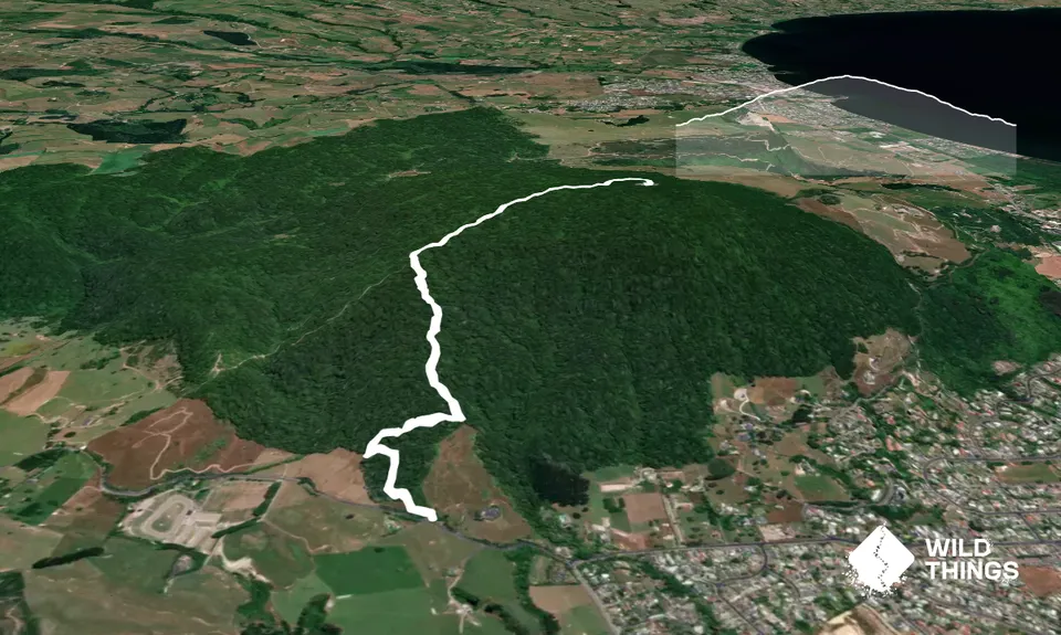 Mount Ngongotaha , Bay of Plenty
