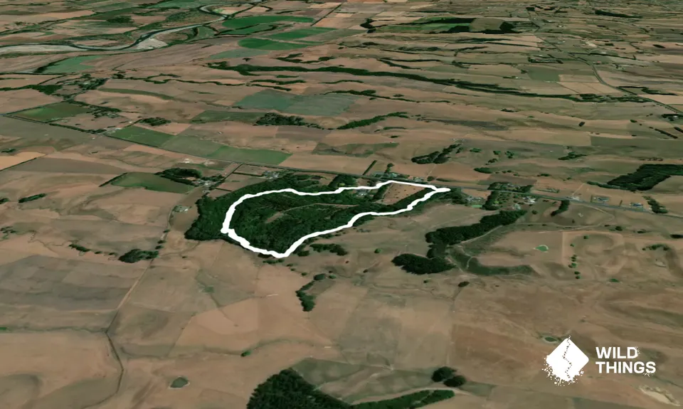 Mt Lees Daffodil Dash, Manawatu - Wanganui