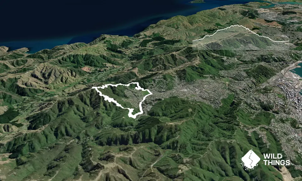 Park 2 Peak 2 Park, Wellington