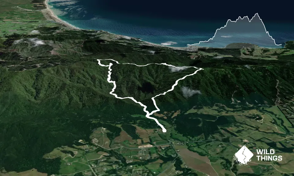 Tanekaha Trails, Northland