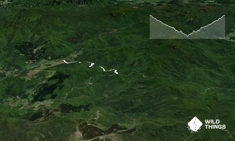 Piraunui Track, Waikato