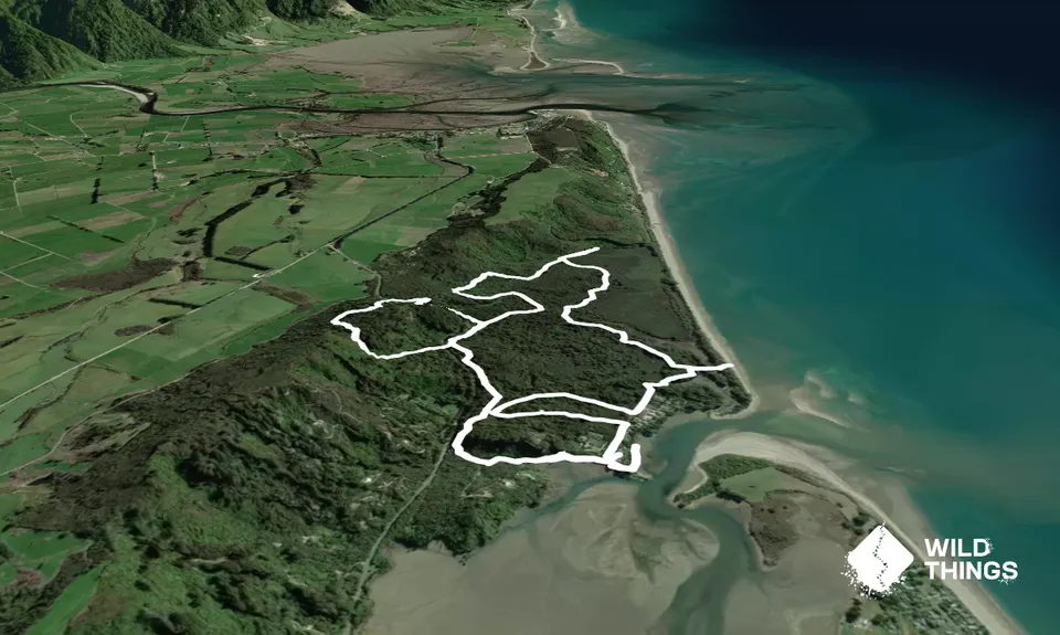 Milnthorp Maze, Tasman