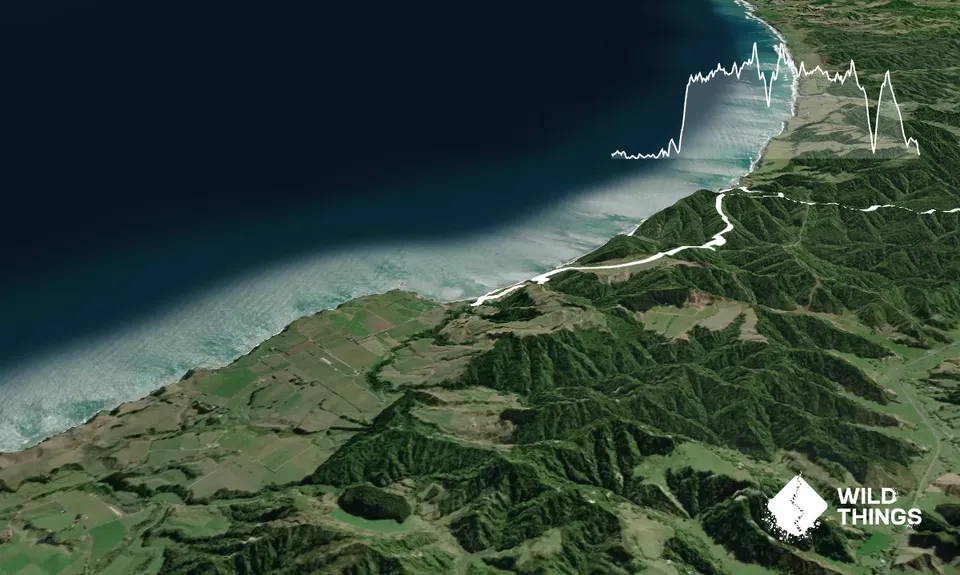 White Cliffs, Taranaki