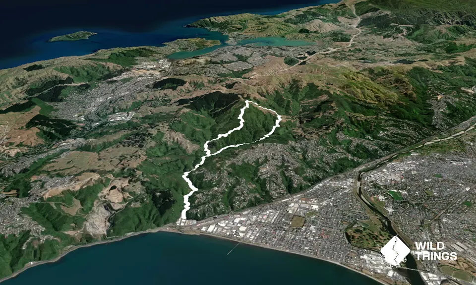 Belmont Tadpole Loop, Wellington