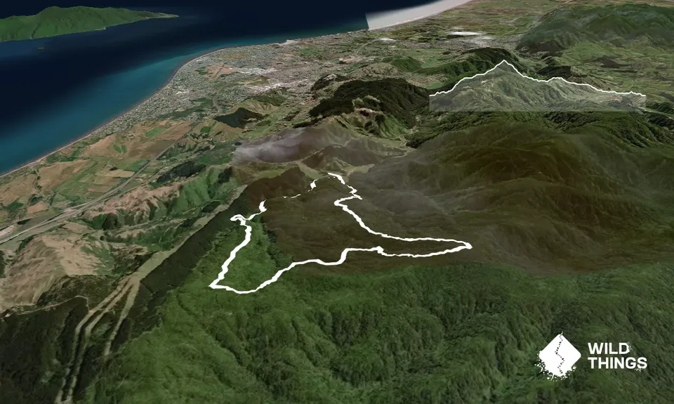 Mount Titi Full Bush , Wellington