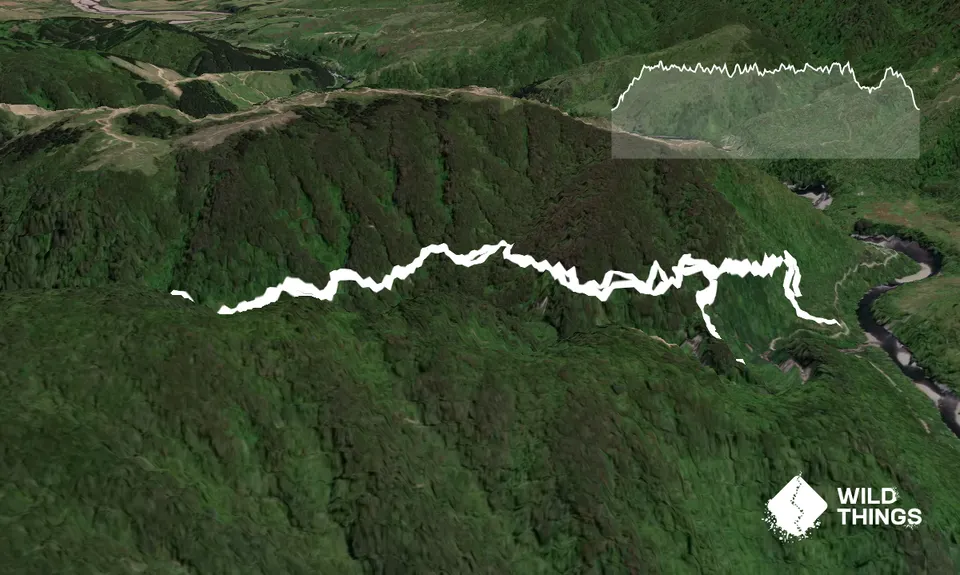 Arcus Dam Track, Wellington