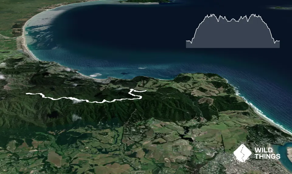 Langs View Track, Northland