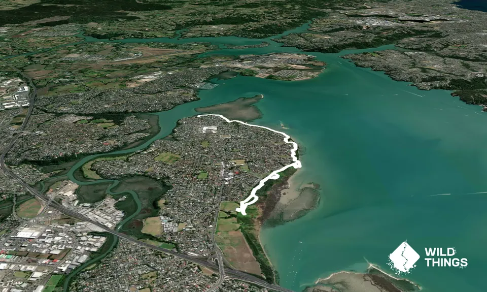 Around the Outside at Te Atatu, Auckland