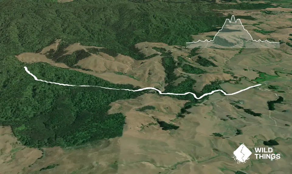 Karakariki Track, Waikato