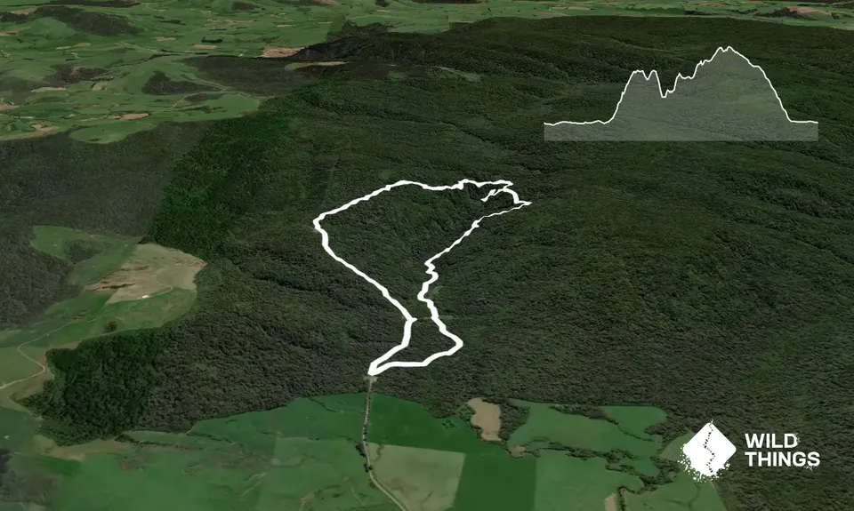 Waipohatu Loop, Southland