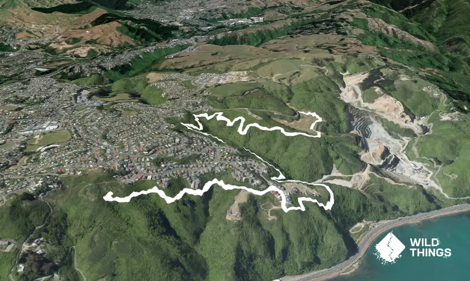 Te Ara Papararangi Views, Wellington