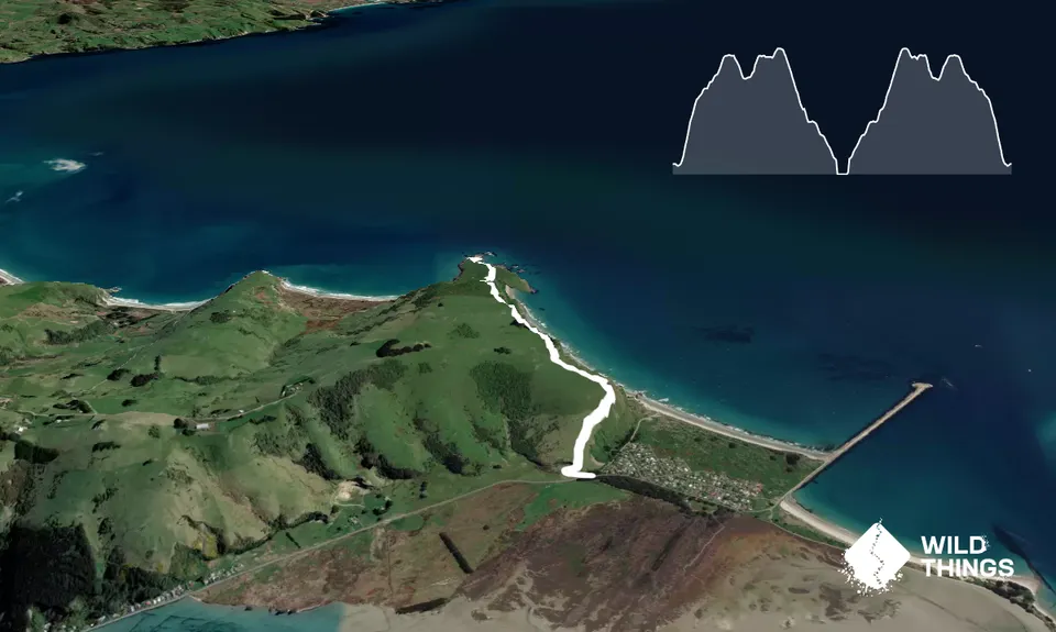 Heyward Point, Otago