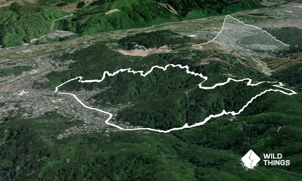 Tawhai Loop, Wellington