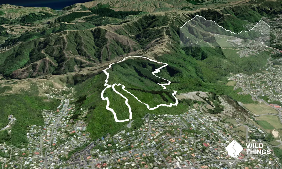 Johnston Hill Loop, Wellington