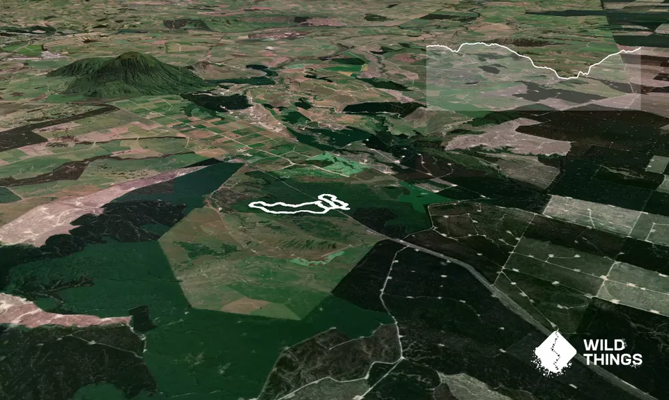 Opepe Reserve, Waikato