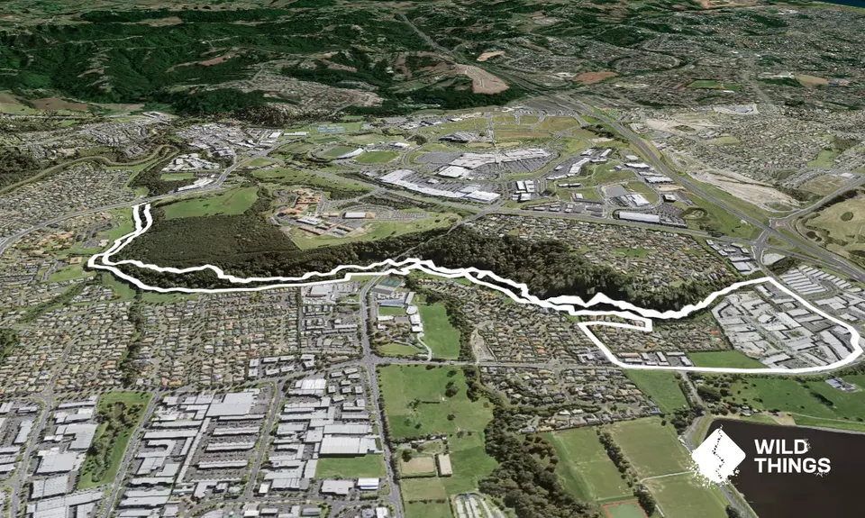 Fernhill & Burnside Escarpments, Auckland