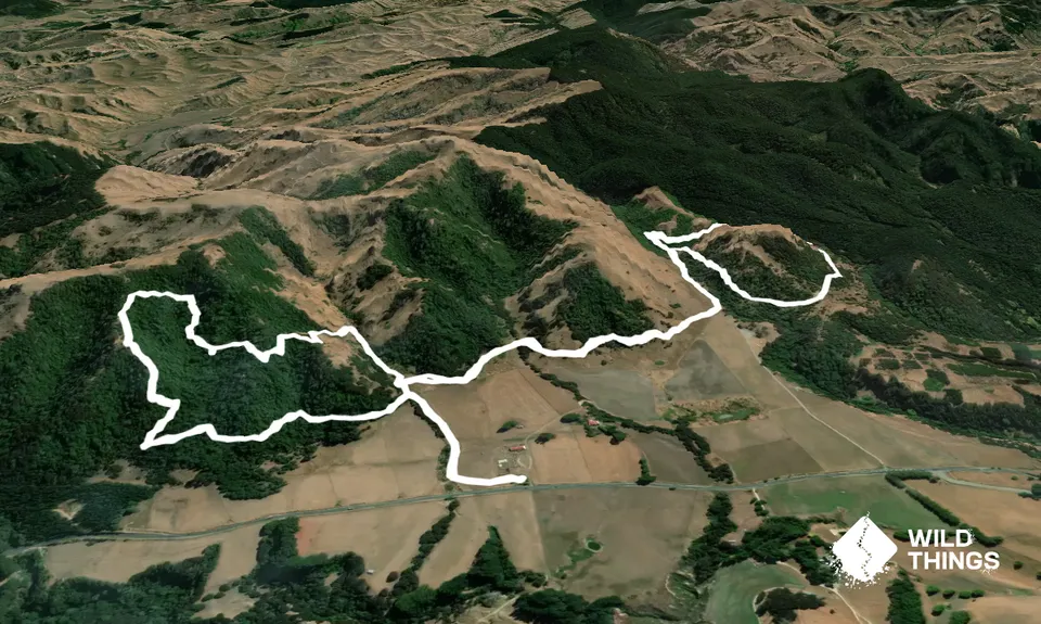 Rewanui Loops, Manawatu - Wanganui