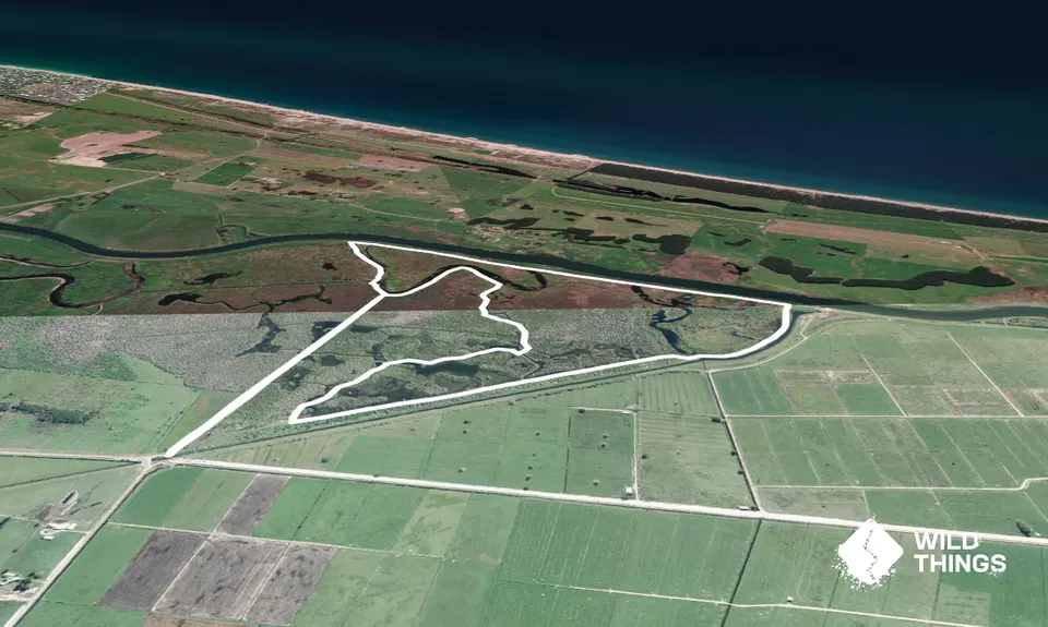 Kaituna Wetlands, Bay of Plenty