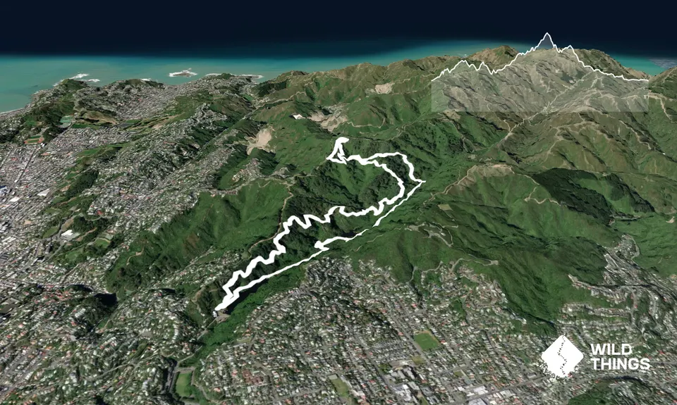 Seeking Sanctuary, Wellington