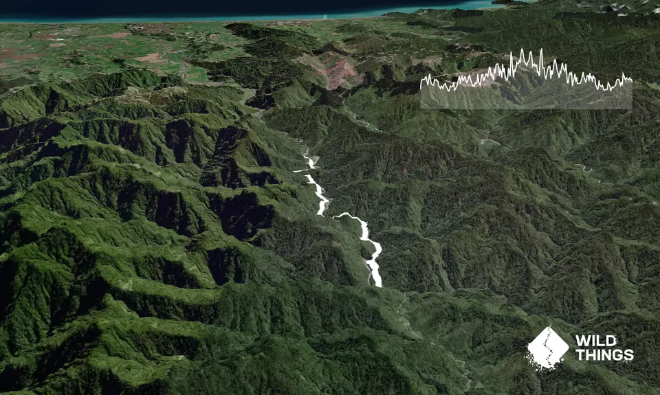 Te Waiti Track, Bay of Plenty