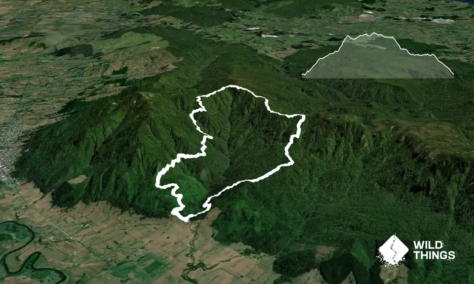 Pukekōhatu Pack Ponies, Waikato