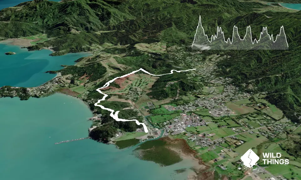 Kauri Block and Harray Trails, Waikato
