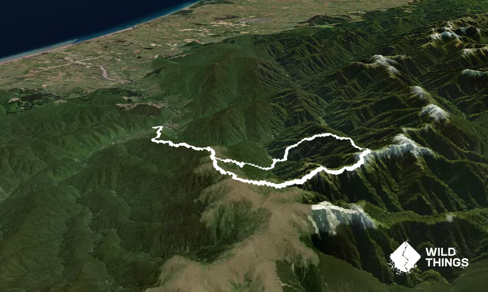 Pakihore Ridge Loop, Wellington