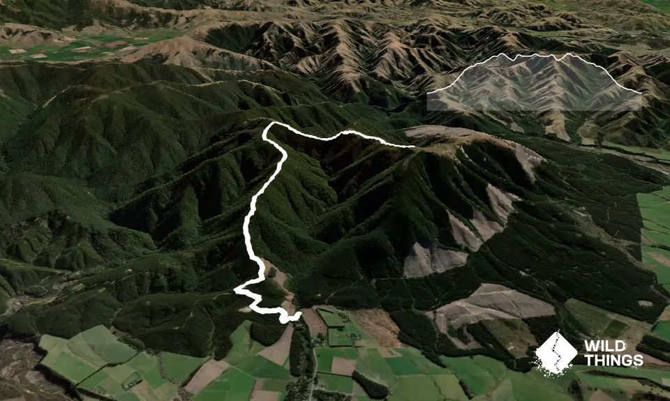 Mt Thomas via Ridge Track, Canterbury