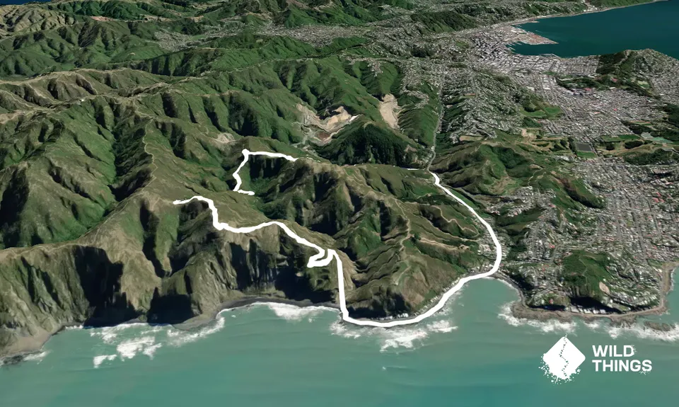 Spooky Gully and the Rocky Shore, Wellington