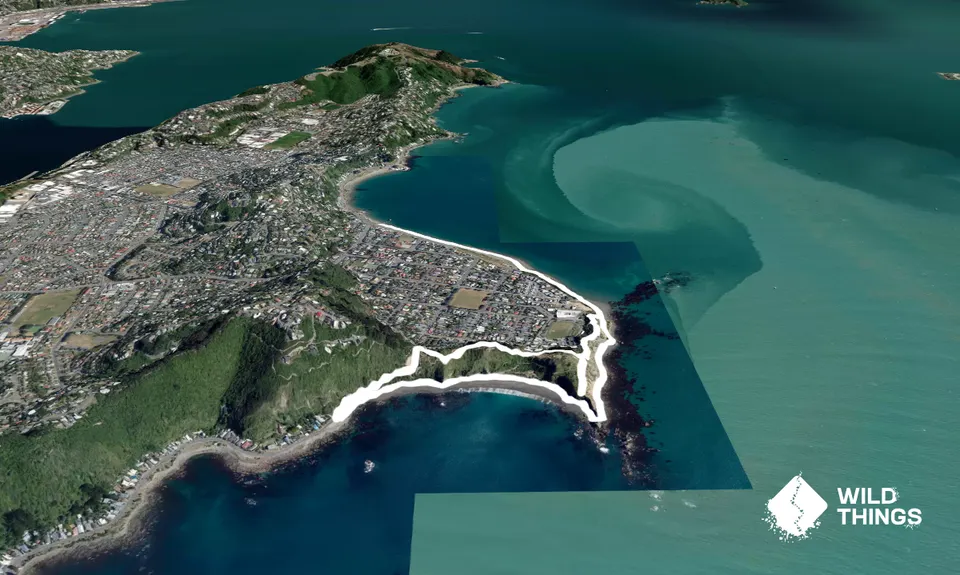 Oruaiti Reserve, Wellington