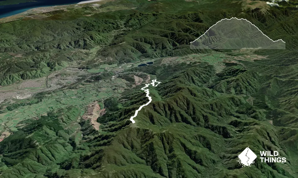 Mt Climie & Tane's Track, Wellington