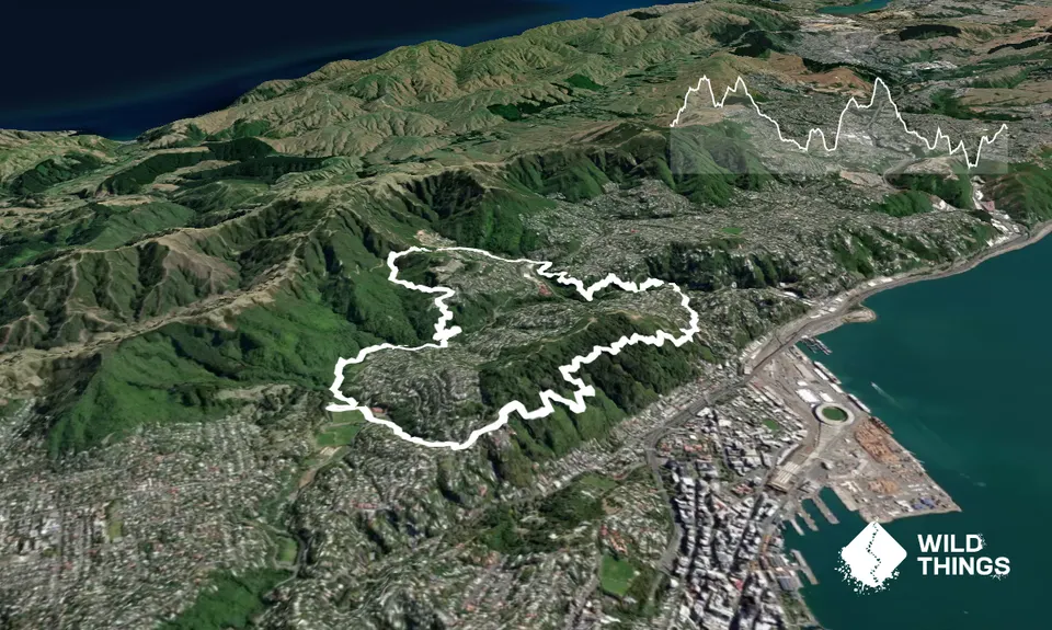 Linking the Reserves, Wellington