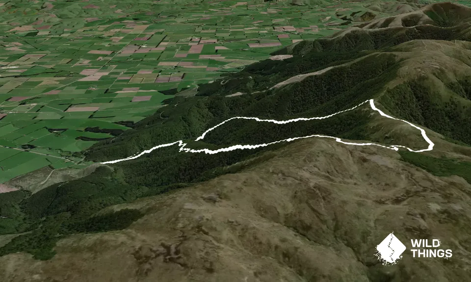 Black Gully - Blue Mountains, Otago