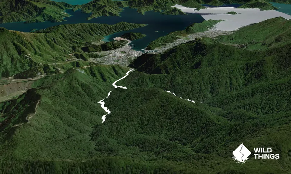 Dam Dam, Marlborough