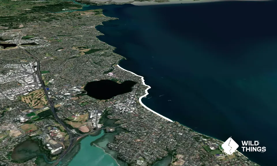 Takapuna Rocks, Auckland