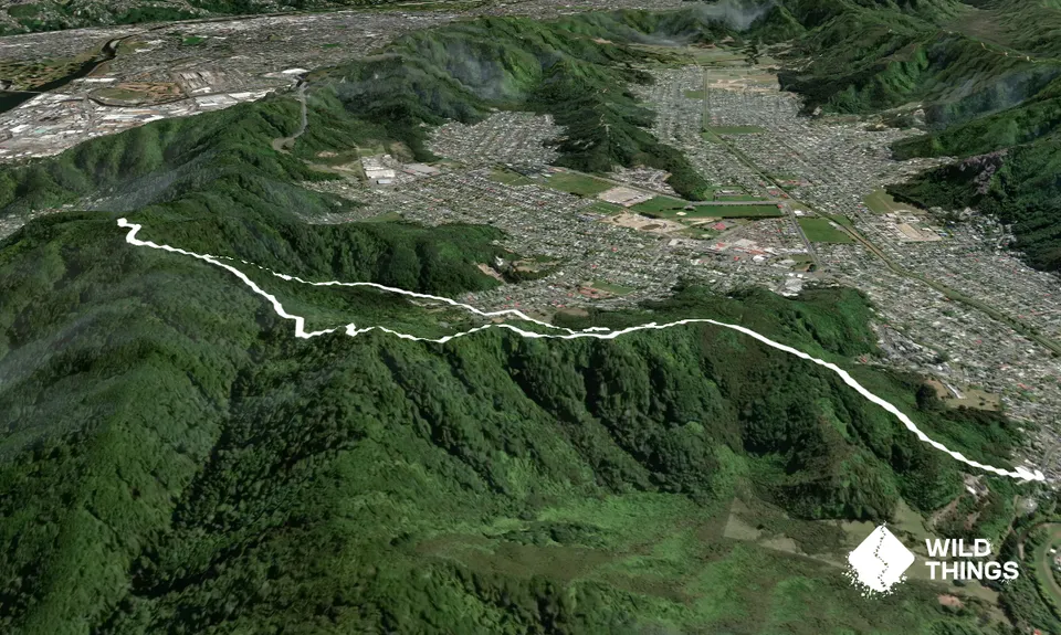 Rata Ridge, Wellington