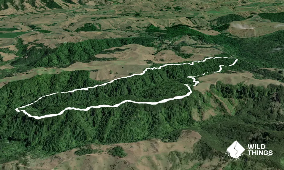 Te Kauri Park Loop, Waikato