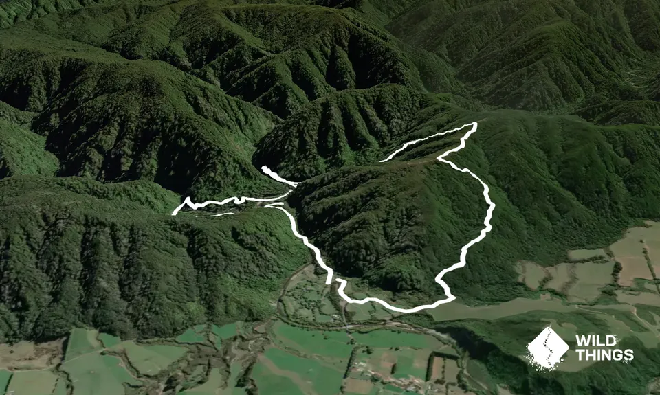 Norbett Creek Loop, Wellington