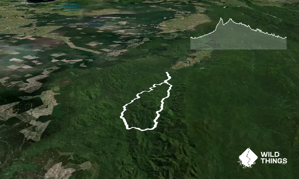Mangamate Loop, Bay of Plenty