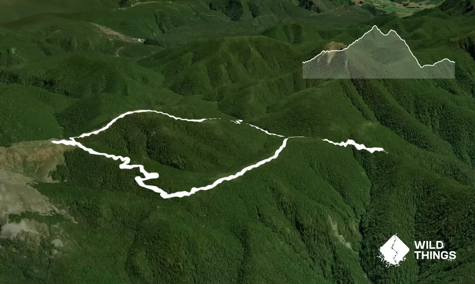 Mt Arthur - Flora Huts, Tasman