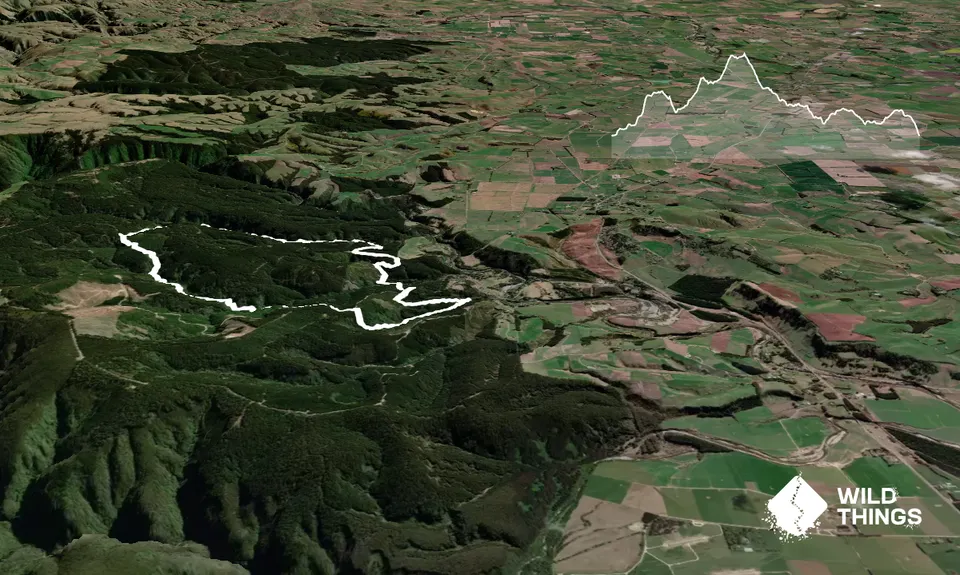 Herbert Dabs, Otago